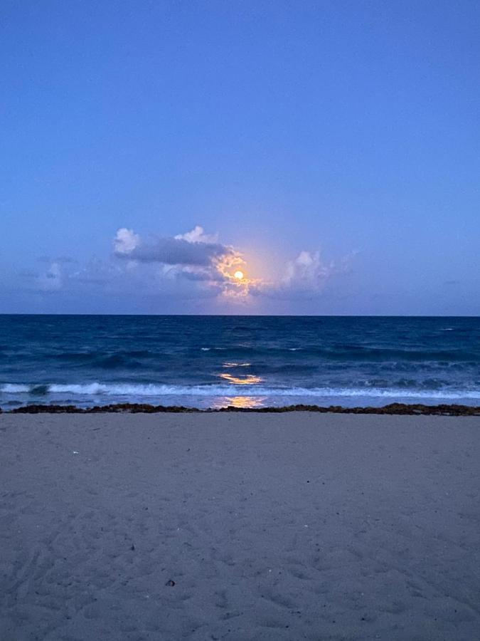 Cozy Studio Near Atlantic Ave W/Private Patio Apartment Delray Beach Bagian luar foto
